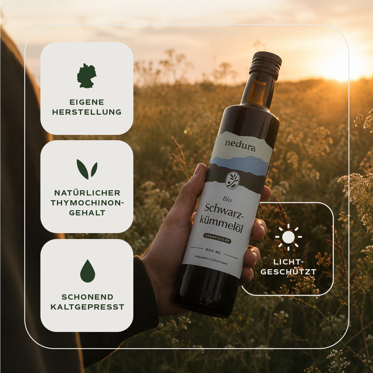 BIO Schwarzkümmelöl mit Thymochinon