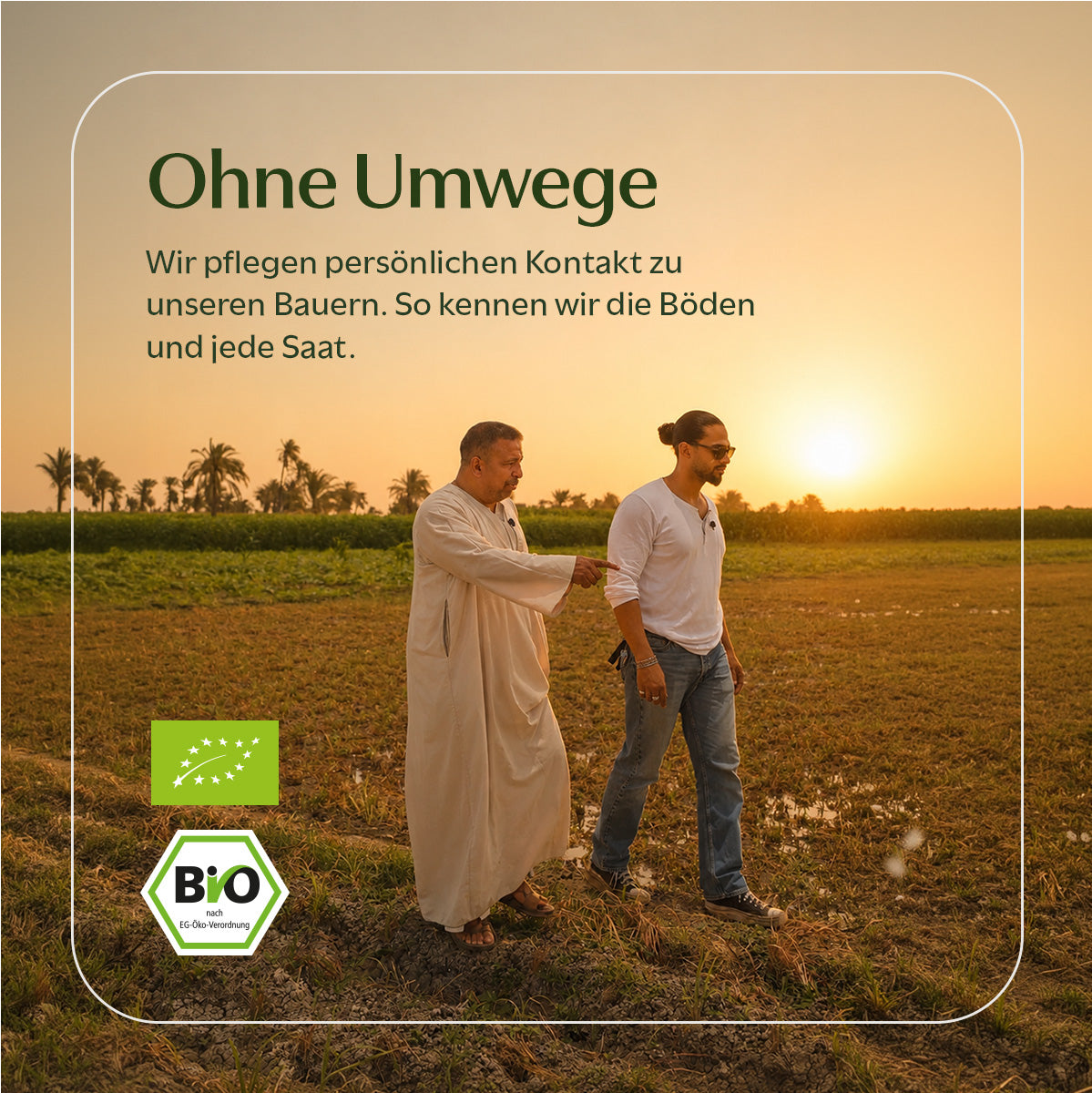 BIO Schwarzkümmelöl mit Thymochinon