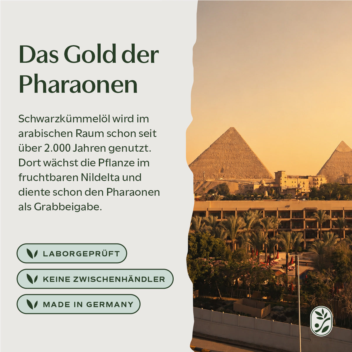 BIO Schwarzkümmelöl mit Thymochinon