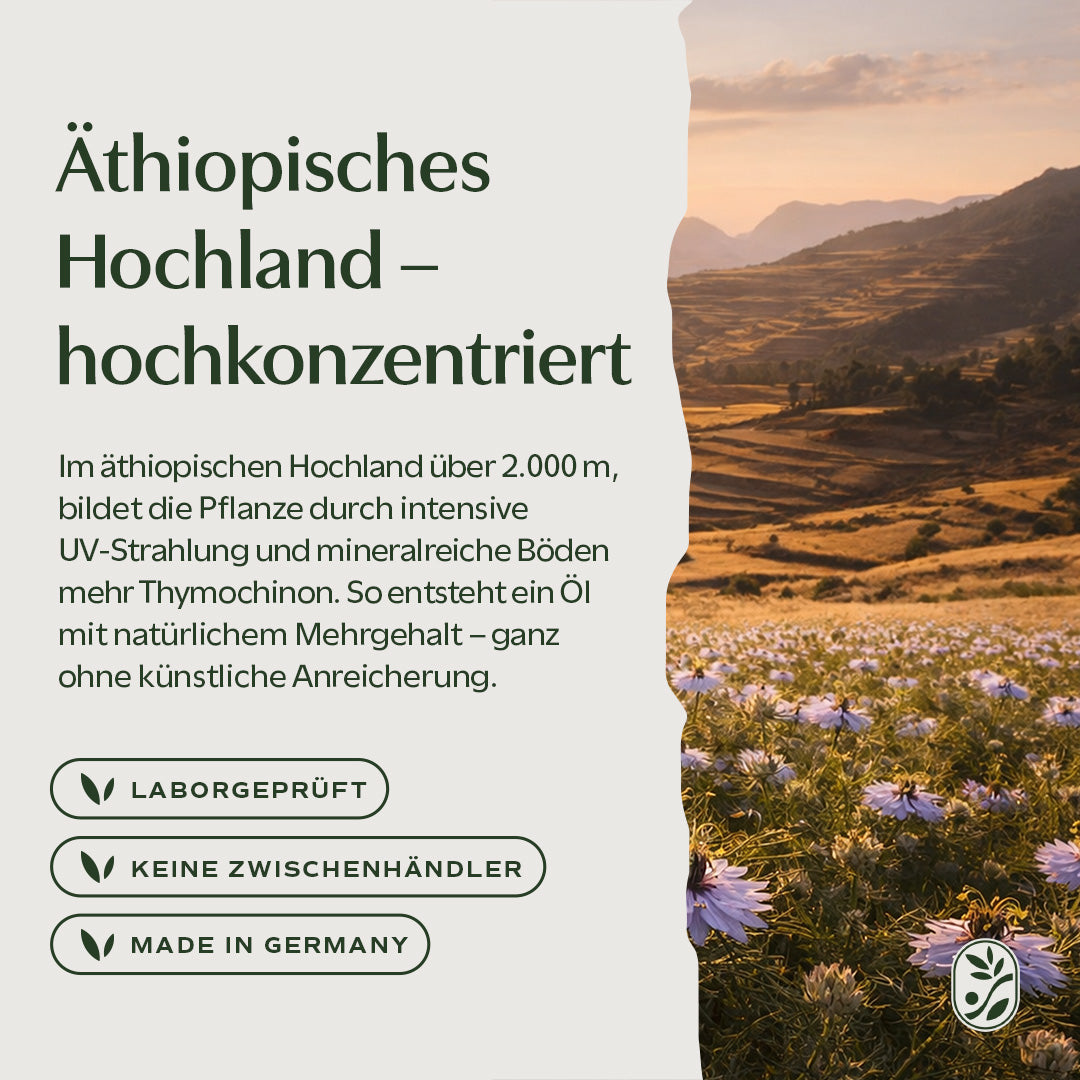 Schwarzkümmelöl Kapseln extra aktiv ungefiltert - 60 Kapseln